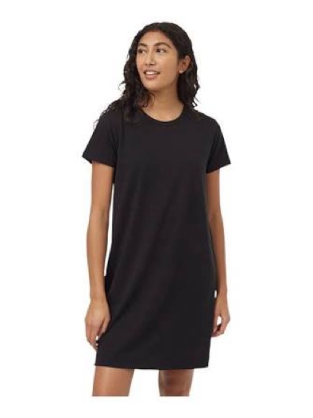 Tentree T-shirt dress